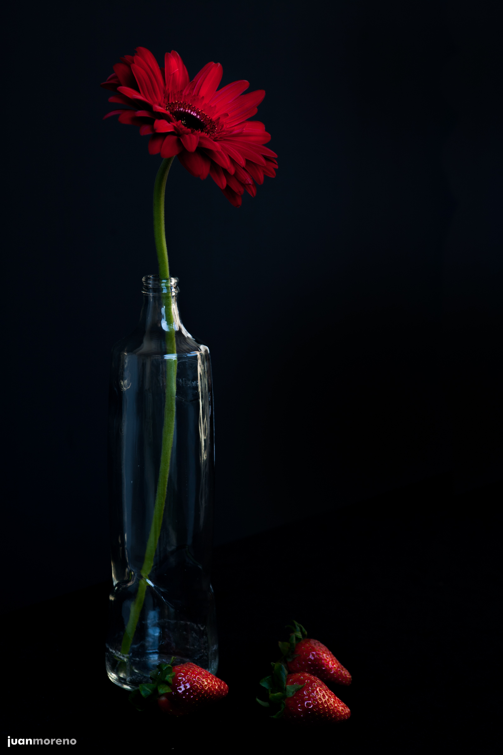 ROJO SOBRE NEGRO